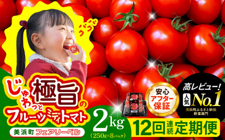 定期便 ≪12ヶ月連続お届け≫ フルーツミディトマト 約2kg(1kg×2箱）× 12回 トマト 野菜  [m37-l001]