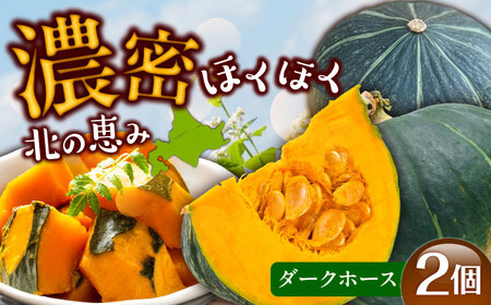 【先行予約】北海道 かぼちゃ ダークホース 2個 【9月中旬以降発送】足寄町/足寄アグリバイオ株式会社[BEAC009]