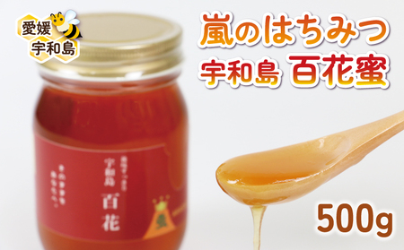 国産蜂蜜 500g みつばち屋嵐 国産蜂蜜 F010-129002