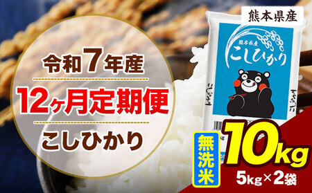 【12ヶ月定期便】令和7年産 無洗米 こしひかり 10kg 無洗 《お申込み翌月から出荷》