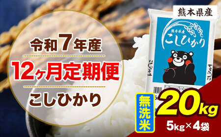 【12ヶ月定期便】令和7年産 無洗米 こしひかり  20kg 無洗 《お申込み翌月から出荷》