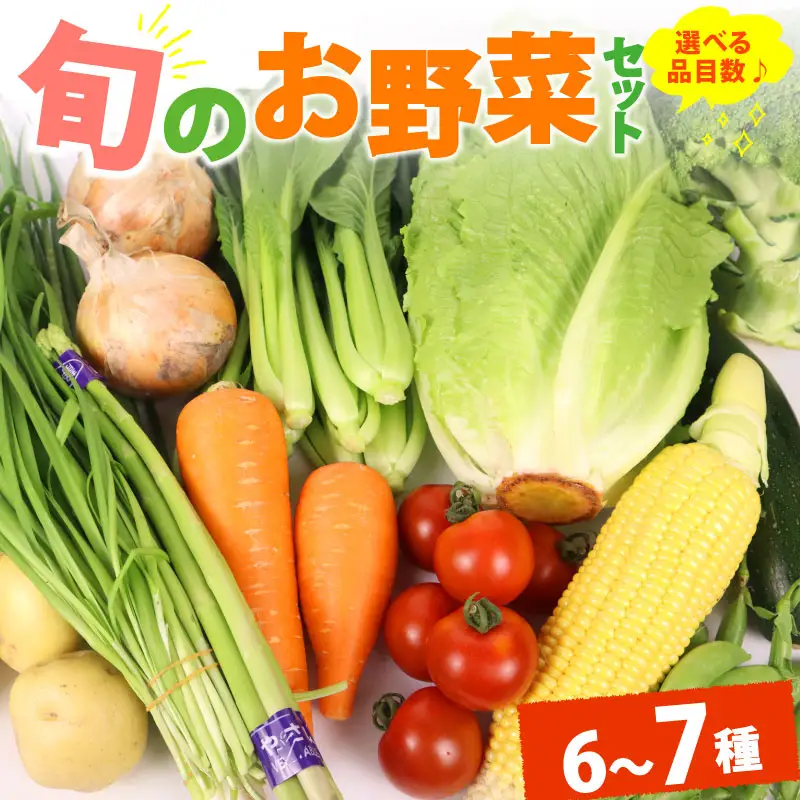 野菜セット 6~7品目 以上 野菜セット
