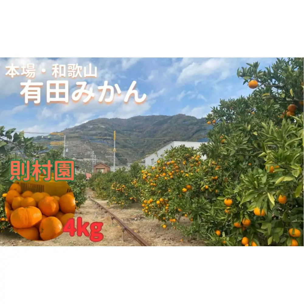 則村園産 有田みかん 4kg 温州みかん みかん 蜜柑 甘い 甘いみかん 有田 有田川町 和歌山