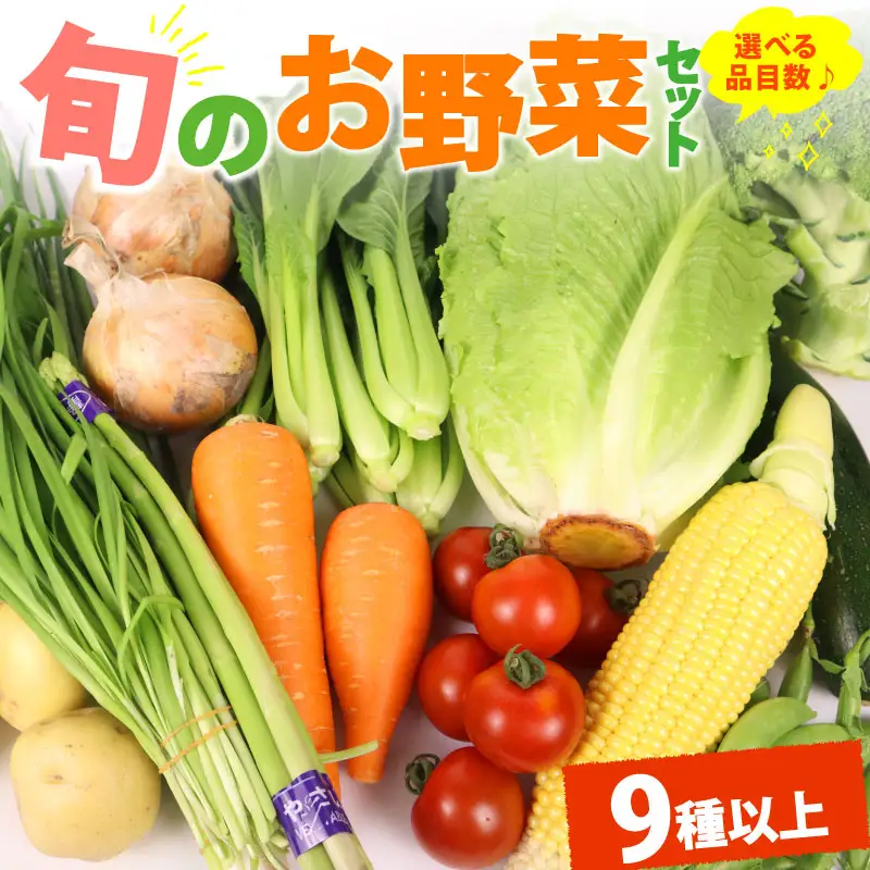 野菜セット 9品目 以上 野菜セット