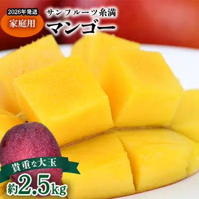 【2026年発送】サンフルーツ糸満マンゴー貴重な大玉 家庭用　約2.5kg 産地直送 先行予約 フルーツ 果物 くだもの アップルマンゴー アップル アーウィン種 濃厚 デザート 贅沢 旬の果物 甘い おすすめ プレゼント 贈答 冷蔵 国産 沖縄 沖縄県産