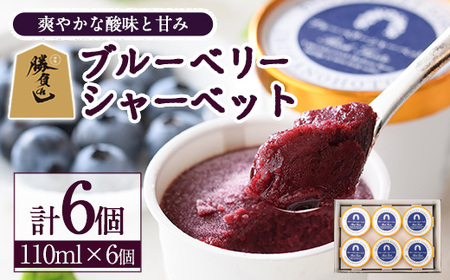 ブルーベリーシャーベット(計660ml・110ml×6個) シャーベット アイスクリーム ソルベ フルーツ ブルーベリー 果物 スイーツ デザート おやつ 勝負めし 【116500300】【藍苺GARDEN イロハノホトリ】