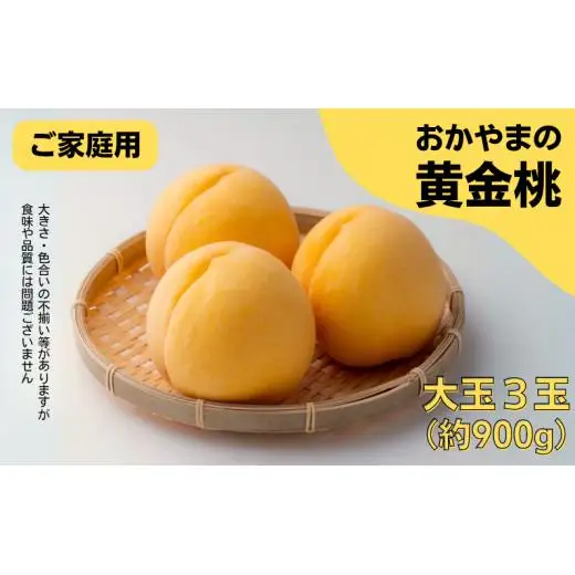 家庭用 黄金桃 3玉 大玉 約900g 岡山県産【先行予約 2026年8月下旬から順次発送】