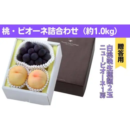 詰合せ 白桃 晩生種 2玉 ニューピオーネ 1房 合計約1.0kg 岡山県産 【先行予約 2026年8月下旬から順次発送】
