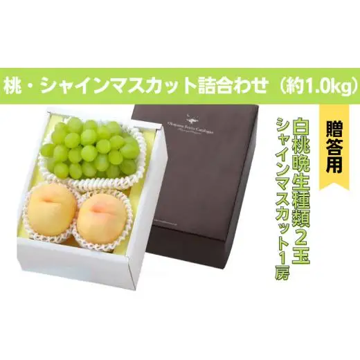 詰合せ 白桃 晩生種 2玉 シャインマスカット 1房 合計約1.0kg 岡山県産 【先行予約 2026年8月下旬から順次発送】