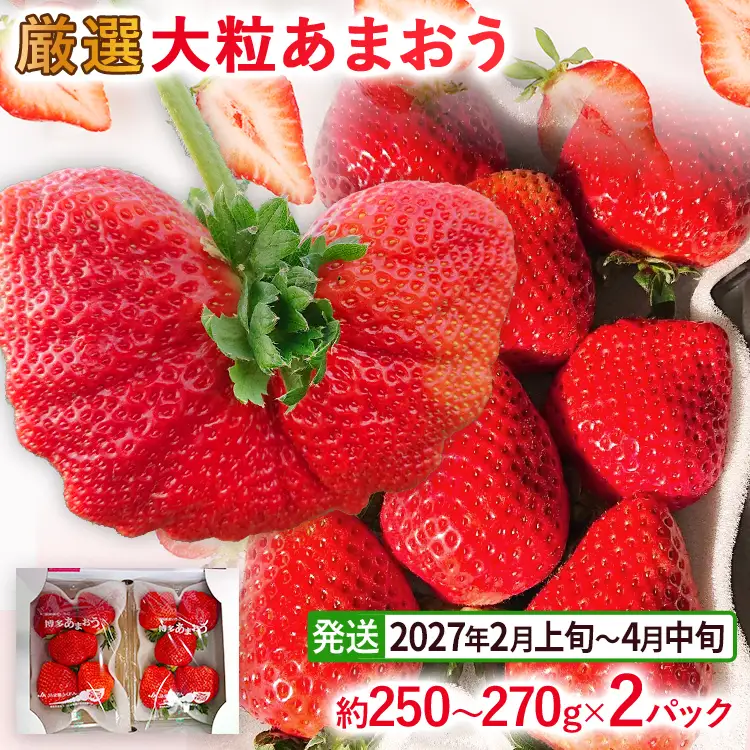 【2027年発送先行予約】厳選大粒あまおう(約250～270g×2パック) いちご フルーツ 果物 あまおう 苺 イチゴ ギフト 大粒 福岡【発送時期2027年2月上旬～2027年4月中旬】