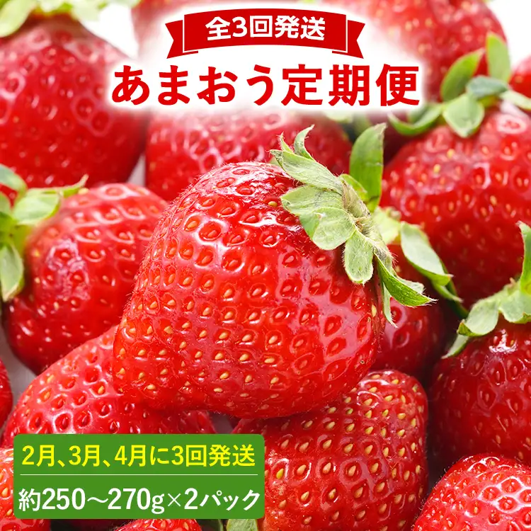 【2027年発送先行予約】あまおう2パック×3回発送定期便 (2月、3月、4月発送) 定期便 約250‐270g×2パック いちご フルーツ 果物 あまおう 苺 イチゴ 福岡【発送時期2027年2月、3月、4月】