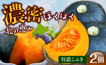 【先行予約】北海道 かぼちゃ 特濃こふき 2個 【9月中旬以降発送】足寄町/足寄アグリバイオ株式会社 [BEAC011]