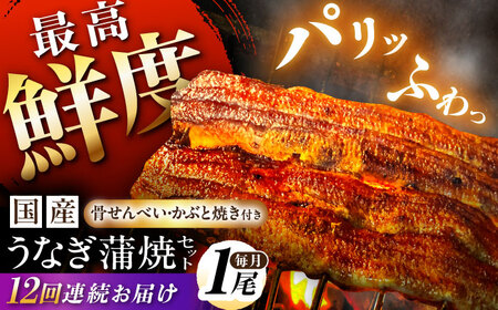 【12回定期便】 うなぎ 蒲焼 1尾 多幸八[AWBL009] うなぎ