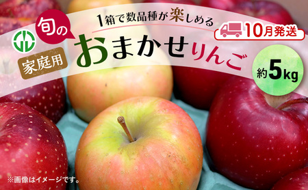 りんご 【 10月発送 】 家庭用 旬のりんご 品種おまかせ 約 5kg 2品種～4品種 果物類 フルーツ 林檎 リンゴ 鶴田町 青森県 おやつ デザート