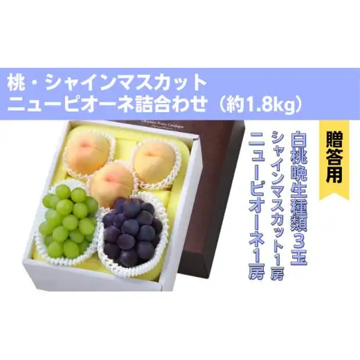 詰合せ 白桃 晩生種 3玉 シャインマスカット 1房 ニューピオーネ 1房 合計約1.8kg 岡山県産 【先行予約 2026年8月下旬から順次発送】