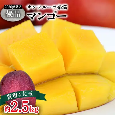 【2026年発送】サンフルーツ糸満マンゴー貴重な大玉 優品　約2.5kg 産地直送 先行予約 フルーツ 果物 くだもの アップルマンゴー アップル アーウィン種 濃厚 デザート 贅沢 旬の果物 甘い おすすめ プレゼント 贈答 冷蔵 国産 沖縄 沖縄県産