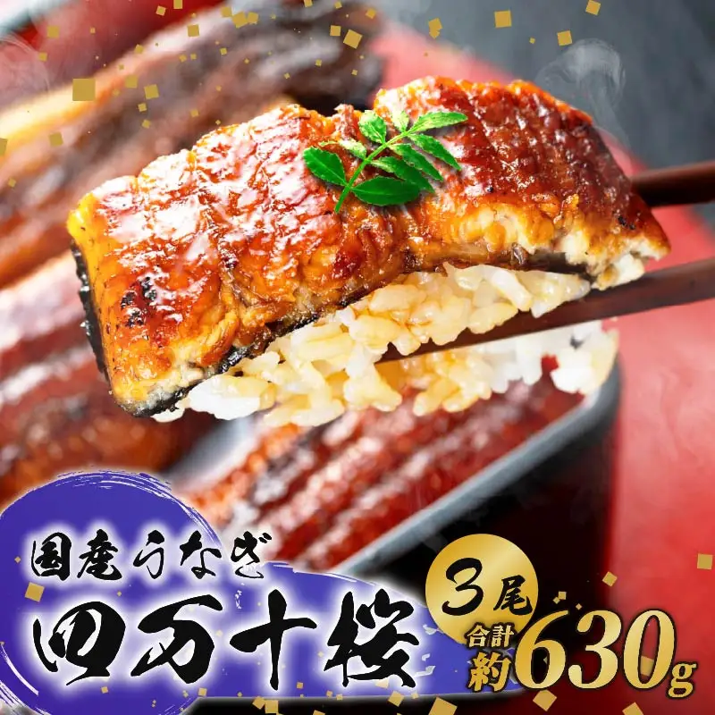 【贈答用】特大 国産 うなぎ 蒲焼き210g×3 蒲焼き