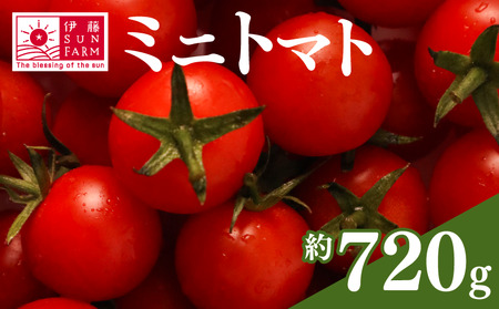 訳あり ミニトマト 約720g 伊藤SUN FARM 《12月-7月上旬発送》千葉県 旭市 【ミニトマト】
