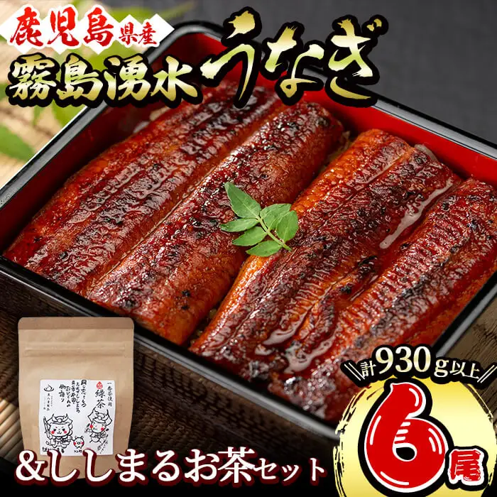 霧島湧水鰻6尾＆ししまるお茶セット 霧島湧水鰻(156g以上×6尾)＆緑茶ティーバッグ(3g×6個) 鹿児島県産 うなぎ ウナギ たれ タレ さんしょう 山椒 セット 緑茶 お茶 うな重 c8-031