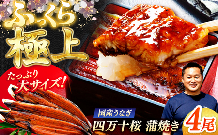 極上国産うなぎ四万十桜 蒲焼き4尾 たっぷり大サイズ / 国産 高知 四万十 うなぎ ウナギ 鰻 蒲焼き うな重 惣菜 贅沢 【有限会社もりた】[ATHE003]