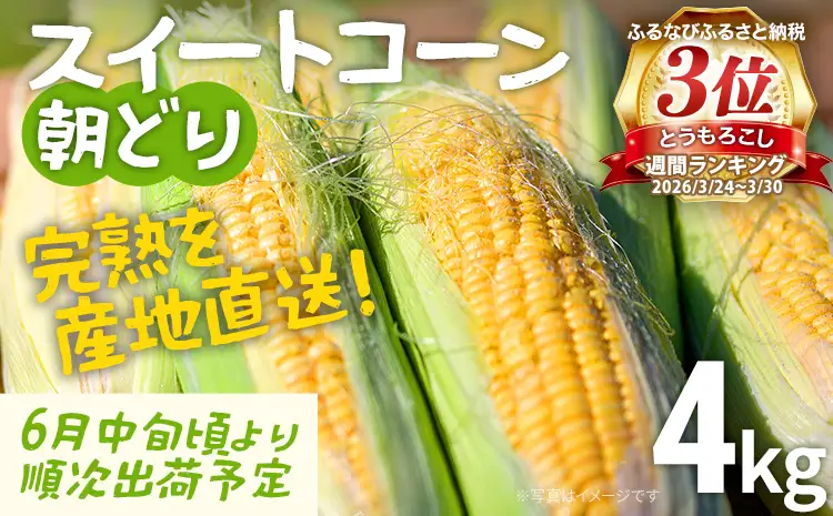 完熟 スイートコーン 数量限定 とうもろこし 【朝採り】4kg 先行予約 産地直送 