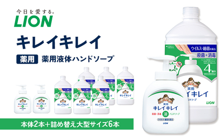 ハンドソープ キレイキレイ 薬用 液体ハンドソープ 本体 250ml×2本, 詰め替え 大型800ml×6本 薬用ハンドソープ 日用品 消耗品 大容量 いい香り LION ライオン 液体石鹸 石鹸 兵庫 兵庫県 小野市