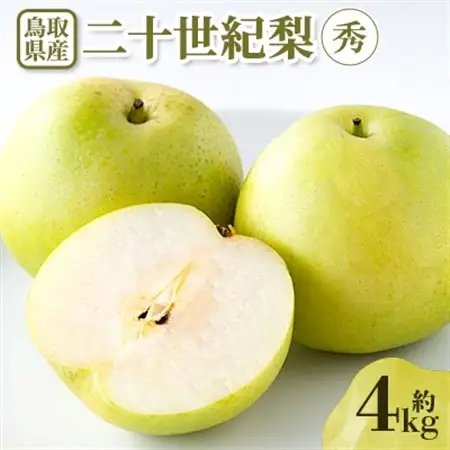 【先行予約】二十世紀梨　秀 約4kg【配送不可地域：離島・北海道・沖縄県】【1532296】
