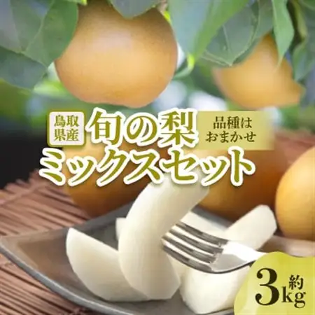 【先行予約】【品種はおまかせ】旬の梨ミックスセット 約3kg【配送不可地域：離島・北海道・沖縄県】【1532306】