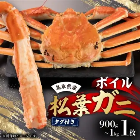 鳥取県産タグ付きボイル松葉ガニ1枚(900g～1kg)【配送不可地域：離島・北海道・沖縄県】【1533392】