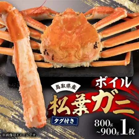 鳥取県産　タグ付きボイル松葉ガニ大1枚(800～900g)【配送不可地域：離島・北海道・沖縄県】【1536352】