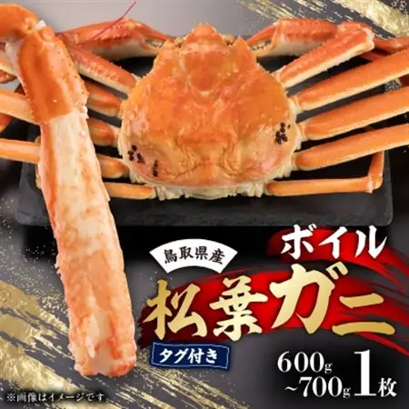 鳥取県産　タグ付きボイル松葉ガニ中1枚(600g～700g)【配送不可地域：離島・北海道・沖縄県】【1536354】