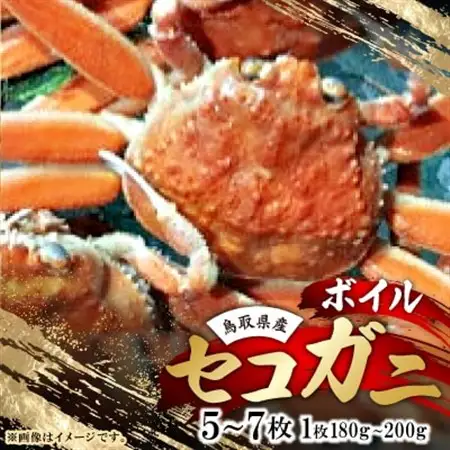 鳥取県産　ボイルセコガニ大　5～7枚(1枚:180～200g)【配送不可地域：離島・北海道・沖縄県】【1536356】