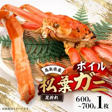 鳥取県産　厳選!ボイル足折松葉ガニ中1枚(600～700gサイズ)【配送不可地域：離島・北海道・沖縄県】【1536358】