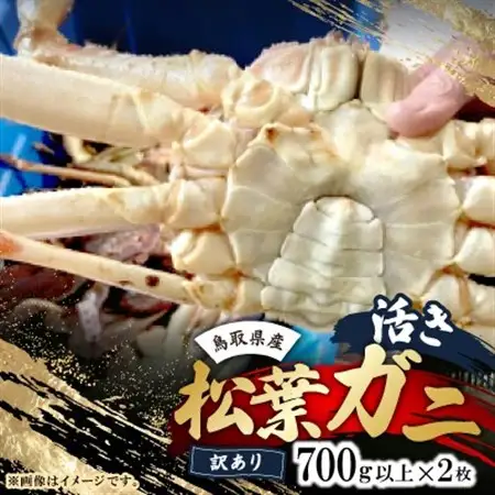 鳥取県産　活　松葉ガニ訳あり!　700g以上×2枚セット【配送不可地域：離島・北海道・沖縄県・東北・関東・信越、北陸・東海・九州】【1536360】