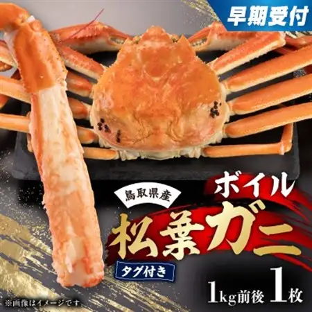 早期受付　鳥取県産タグ付きボイル松葉ガニLL　1枚【2026/10/31までのお申し込み分】【配送不可地域：離島・北海道・沖縄県】【1536365】