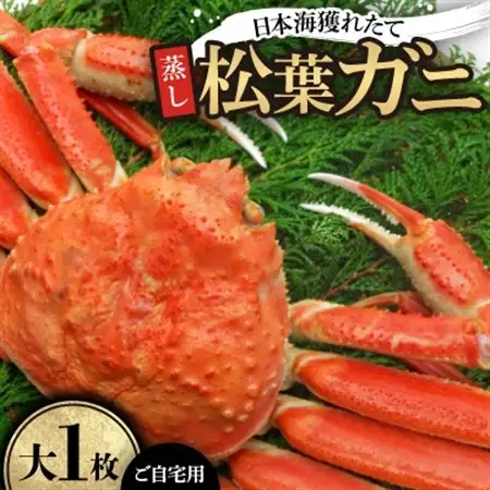 【先行予約】【蒸し】ご自宅用日本海獲れたて松葉ガニ　大　1枚　※11月中旬から順次発送【配送不可地域：離島・北海道・沖縄県】【1536860】
