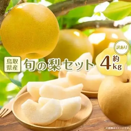 【訳あり】鳥取県産旬の梨セット 4kg【配送不可地域：離島・北海道・沖縄県】【1554510】