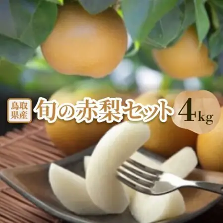 【先行予約】【品種はおまかせ】旬の赤梨セット　4kg【配送不可地域：離島・北海道・沖縄県】【1593364】