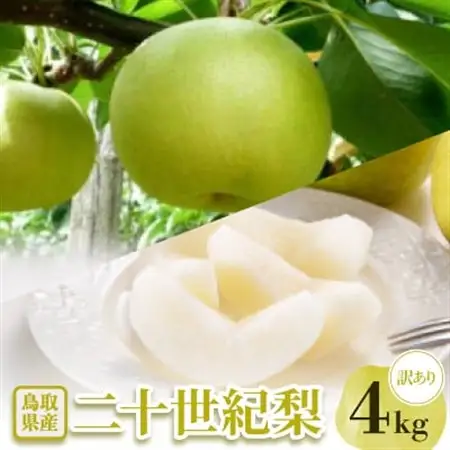 【訳あり】二十世紀梨　4kg【配送不可地域：離島・北海道・沖縄県】【1593369】