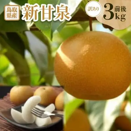 訳あり　新甘泉(しんかんせん)　3kg前後【配送不可地域：離島・北海道・沖縄県】【1593377】