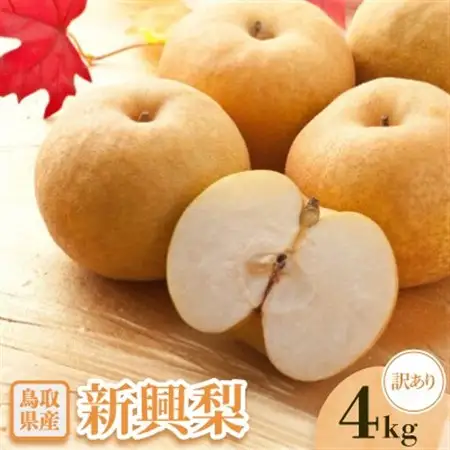 【訳あり】新興梨　4kg【配送不可地域：離島・北海道・沖縄県】【1593380】