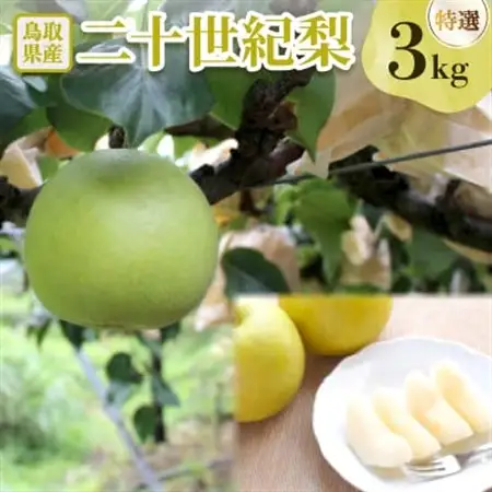 二十世紀梨 特選3kg【配送不可地域：離島・北海道・沖縄県】【1593389】