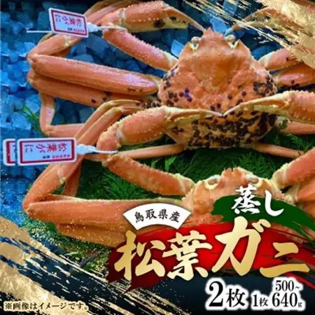 【先行予約】【蒸し】タグ付き松葉ガニ　中2枚(500～640g前後/枚)　※11月中旬から順次発送【配送不可地域：離島・北海道・沖縄県】【1596410】