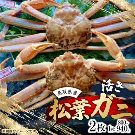 【先行予約】【活き】タグ付き松葉ガニ　大　2枚(1枚800～940g前後)　※11月中旬から順次発送【配送不可地域：離島・北海道・沖縄県】【1596417】