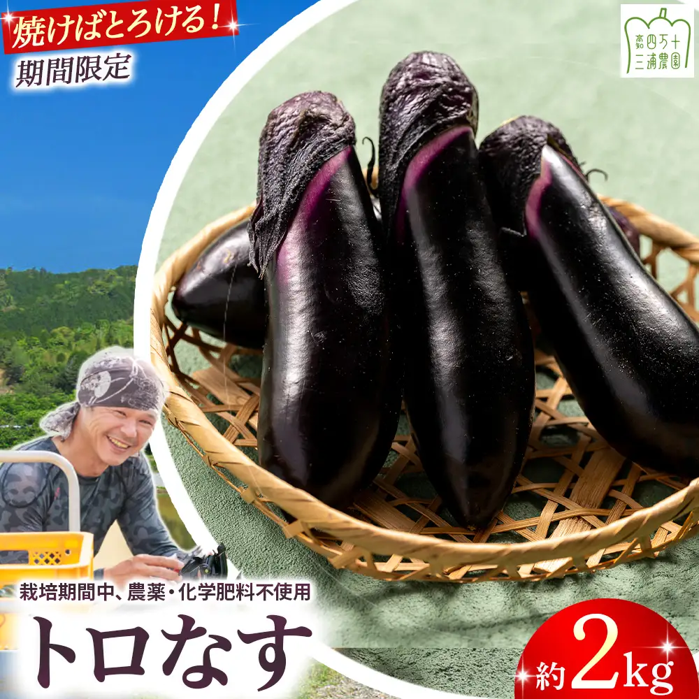 【予約受付】【期間限定】 焼いてトロける！三浦農園のトロなす2kg 栽培期間中農薬・化学肥料不使用 ／Fms-16 農産物 新鮮 焼きナス 野菜 大量 
