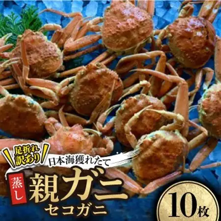 【先行予約】【蒸し】訳あり足折れ日本海産親ガニ(セコガニ)　10枚　※11月中旬から順次発送【配送不可地域：離島・北海道・沖縄県】【1596419】