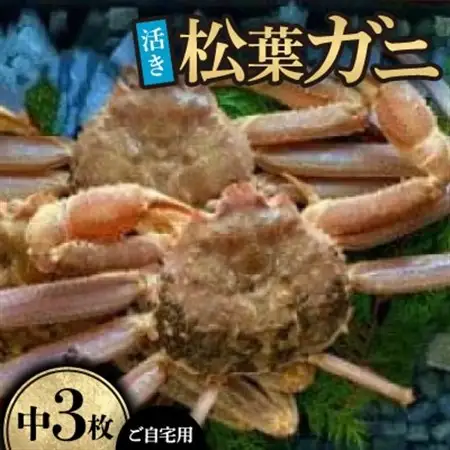 【先行予約】【活き】ご自宅用　松葉ガニ　中　3枚(1枚500～640g前後)※11月中旬から順次発送【配送不可地域：離島・北海道・沖縄県】【1596435】
