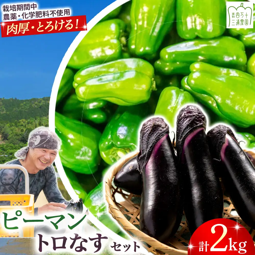 【予約受付】【期間限定】 ピーマン・トロなすセット 2kg（各1kg） 栽培期間中農薬・化学肥料不使用 ／Fms-17 農産物 新鮮 肉厚ピーマン 焼きナス 野菜 大量 農薬不使用 化学肥料不使用