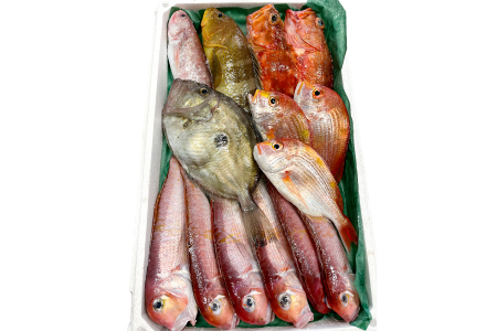 旬の鮮魚ＢＯＸお任せセット（梅）【鮮魚 約5kg 冷蔵 旬 魚 さかな 天然 天然魚 新鮮 地魚 産地直送 水揚げ次第発送 おまかせ セット 詰め合わせ お取り寄せ 大田市 和江漁港】