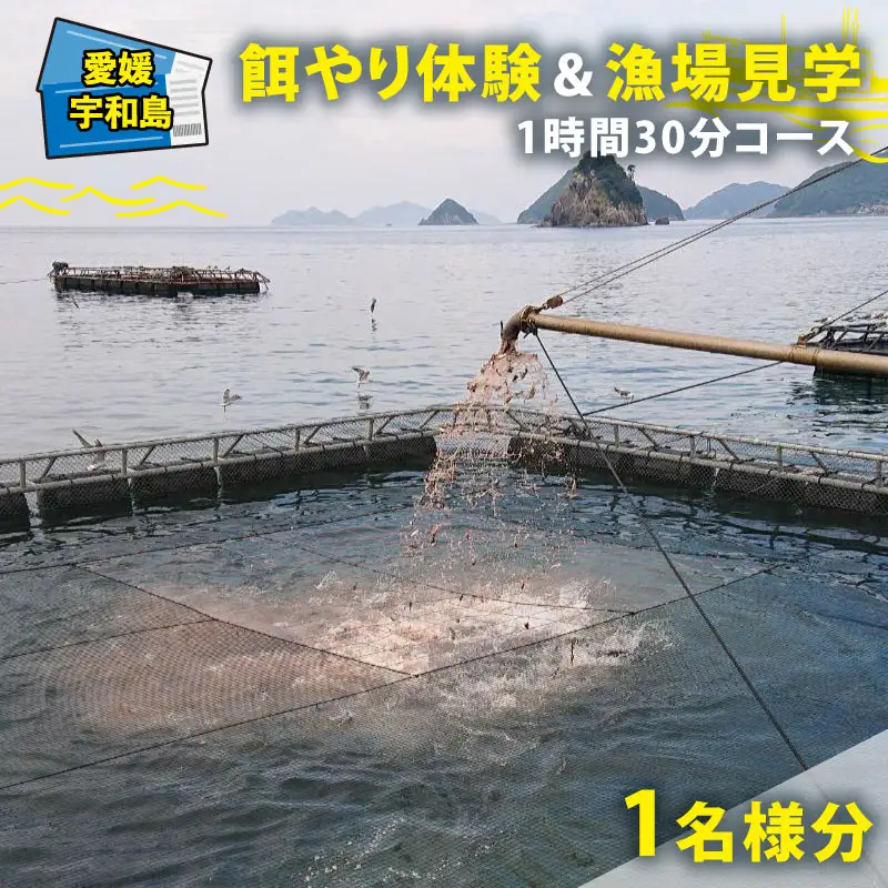 体験 餌やり 漁場 見学 チケット 1時間30分 コース  魚類養殖現場 AI 餌やり 体験 ＆ 漁場 見学 こもこもShop L020-186009